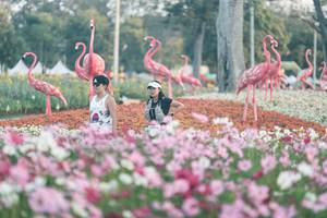 BIB: 
                            <button type="button" onclick="openModal(27343965)" class="btn btn-primary btn-sm float-right btn-popup" data-toggle="modal" data-target=".modal-high-quality">
                        <i class="fas fa-shopping-cart"></i> Add to Cart
                    </button>
                                            <button type="button" onclick="isThisMe(27343965, true)" class="btn btn-success btn-sm float-right btn-popup btn-isme hidden" data-toggle="tooltip" data-placement="bottom" title="นี่คือรูปของคุณใช่ไหม คลิกที่นี่เพื่อเอาเข้าอัลบั้ม">
                        <i class="fas fa-plus"></i> Add to album
                    </button>
                    <button type="button" onclick="isThisMe(27343965, false)" class="btn btn-warning btn-sm float-right btn-popup btn-isnotme hidden">
                        <i class="fas fa-ban"></i> Remove from album
                    </button>